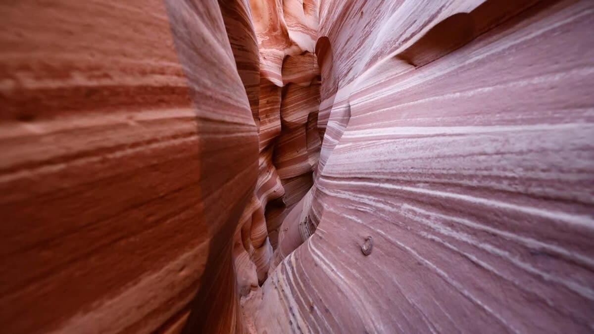 Escalante Escapes Tumble Weed- Bunk Escape Villa ภายนอก รูปภาพ